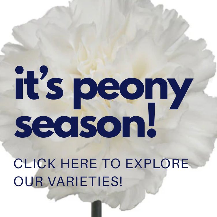 use code: social30 at checkout for $30 off!